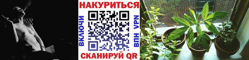 Где купить Александровск СОЛЬ hydra Мефедрон Псилоцибиновые грибы КОКАИН ГАШ АМФ Марихуана
