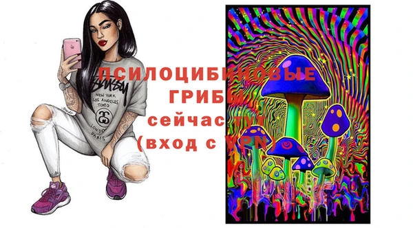 ешки Михайловск