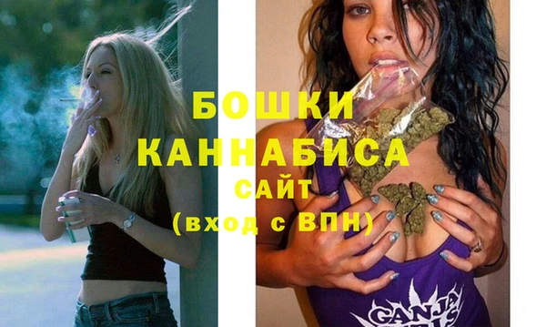 стафф Новодвинск