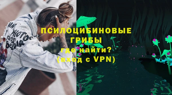 mdpv Новозыбков