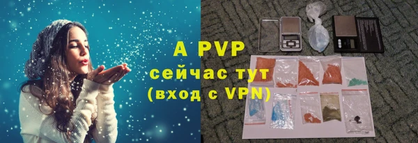 стафф Новодвинск