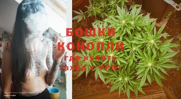 mdpv Новозыбков