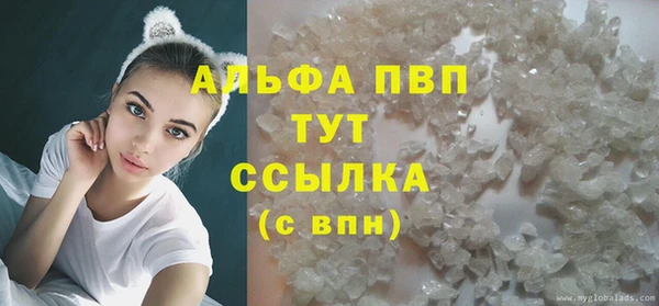 стафф Новодвинск