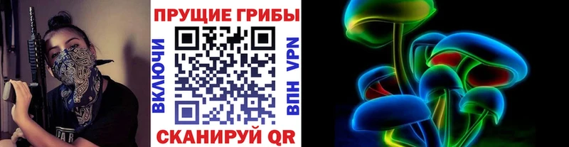 где можно купить наркотик Александровск ссылка на мегу ТОР Псилоцибиновые грибы Magic Shrooms